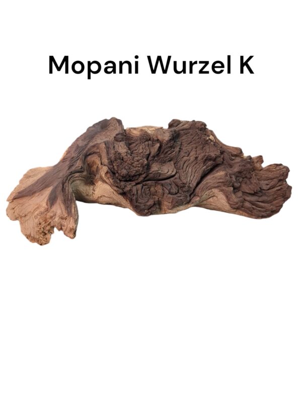 Mopaniwurzel K